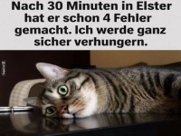 Katzensteuer-Chaos: Hungern garantiert!