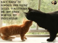 nach hause zu kommen