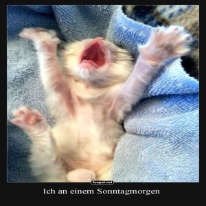 fun-Bild: Katerstimmung am Sonntag