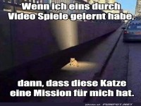 Geheime Katzenmission gestartet!