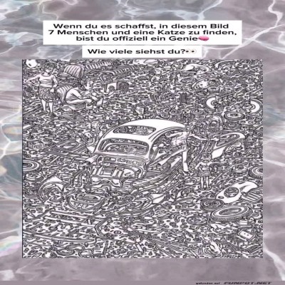 Sieben-Menschen-und-eine-Katze-finden.jpg von Zauberfee