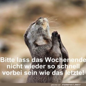 Bitte-bitte-bitte.jpg von Caroline