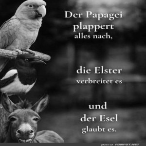 Tratsch-Party-im-Tierreich.jpg von Valentina