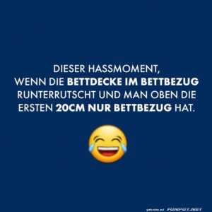 Wenn-die-Bettdecke-Eigenleben-entwickelt.jpg von Leif