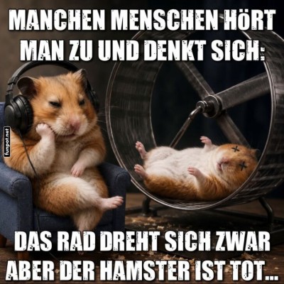 Wenn-der-Hamster-das-Rad-stehen-l&auml;sst.jpg von Goldlocke