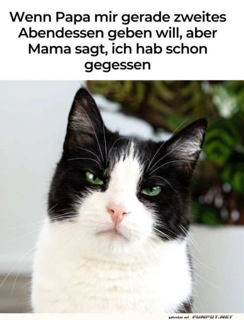 Wenn-du-beim-Abendessen-doppelt-abräumen-willst.jpg auf www.funpot.net
