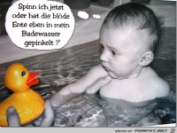 die blöde Ente in meinem Badewasser