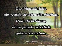 der Mensch lebt