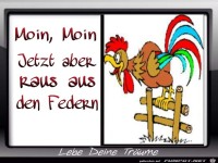 Raus aus den Federn 