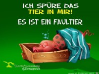 faultier