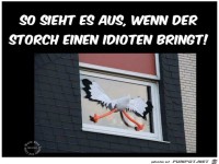 Wenn der Storch kommt