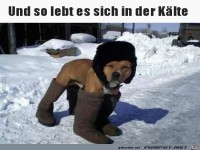 und so lebt es sich in der K�lte....