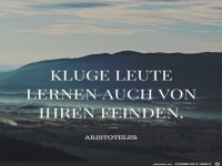 kluge leute lernen