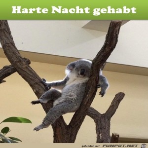 Begr&uuml;&szlig;ungsbild