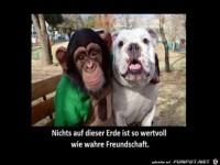 Nichts auf dieser Erde ist so wertvoll wie wahre Freundsch..