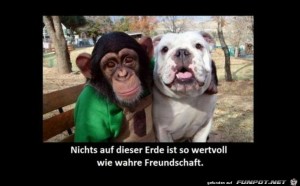 Nichts-auf-dieser-Erde-ist-so-wertvoll-wie-wahre-Freundsch...jpg auf www.funpot.net