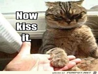 Und jetzt k�ss meine Pfote