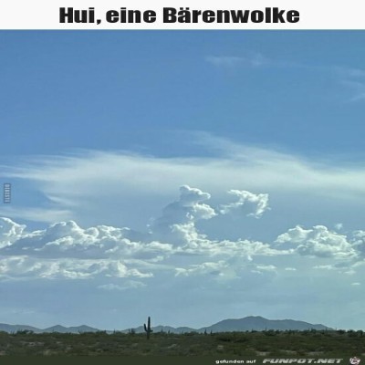 Hui,-eine-Bärenwolke.jpg von Sia