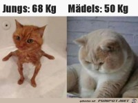 So ist das mit dem Gewicht