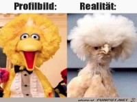 Die Realit�t sieht anders aus