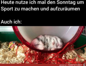 Ich-am-Sonntag.jpg auf www.funpot.net