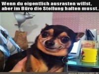 Sch�n die Fassung bewahren