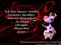 Ich bin immer wieder erstaunt