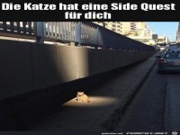 Katze hat was f�r dich
