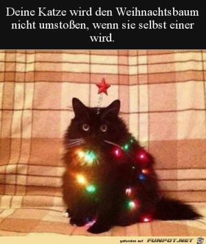 Dekorierte-Katze.jpg auf www.funpot.net