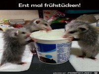 Fr�hst�ck ist lecker