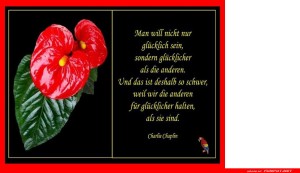 Man-will-nicht-nur.jpg auf www.funpot.net