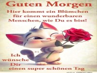 Hier kommt ein Blmchen