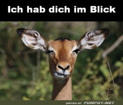 Ich-hab-dich-im-Blick.jpg auf www.funpot.net