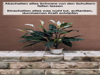 abschalten alles schwere