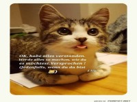 Verhandlungsprofis brauchen Pausen