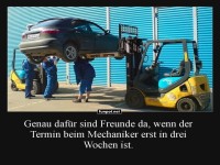 Freunde mit Gabelstapler-Fhigkeiten