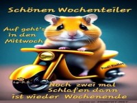 Rasender Hamster: Mittwochs-Motorradfahrt!