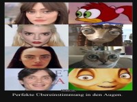 Blickduelle der besonderen Art