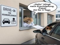 Drive-In Diagnose: Miau statt Medizin