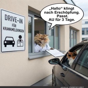 Drive-In-Diagnose:-Miau-statt-Medizin.jpg von Gabriel