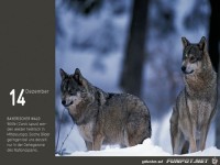 Bilddestages 13-12-14