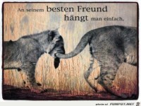 haengt man einfach