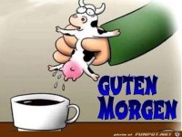 Guten Morgen