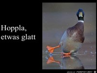 etwas glatt