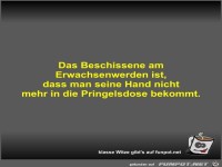 Das Beschissene am Erwachsenwerden ist
