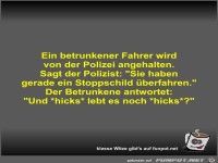 Ein betrunkener Fahrer wird von der Polizei angehalten