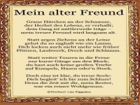 Mein alter Freund 2019