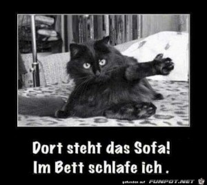 Dort-steht-das-Sofa!.jpg auf www.funpot.net