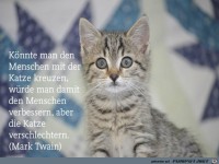 K�nnte man Menschen mit Katzen kreuzen