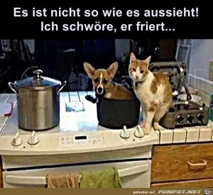 Es-ist-nicht-so-wie-es-aussieht....jpg auf www.funpot.net